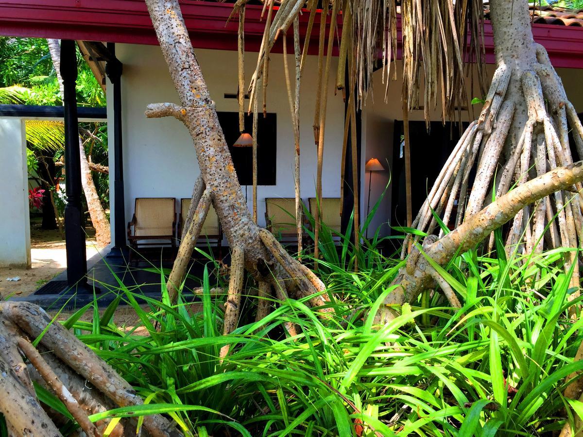 Shehani Beach Bungalow Tangalle Ngoại thất bức ảnh